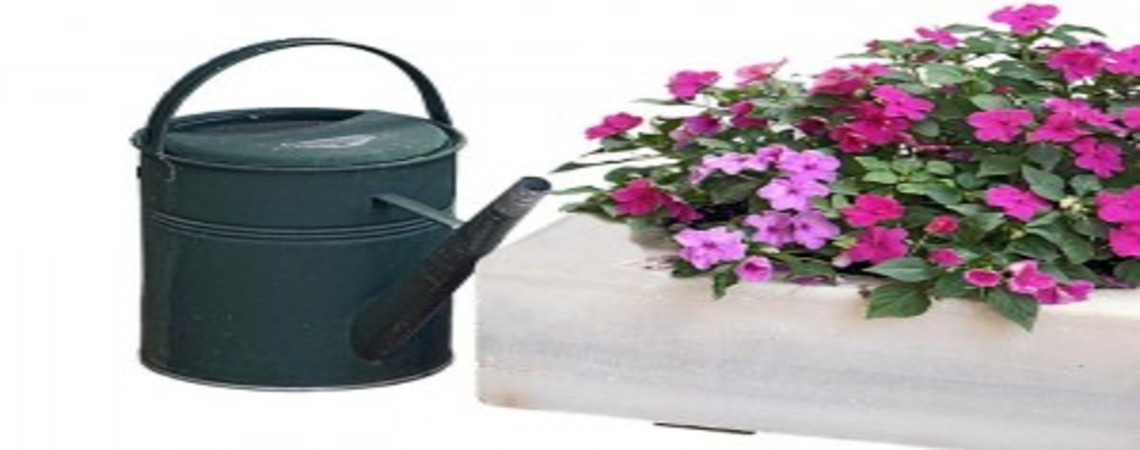 Expertos en arreglos florales